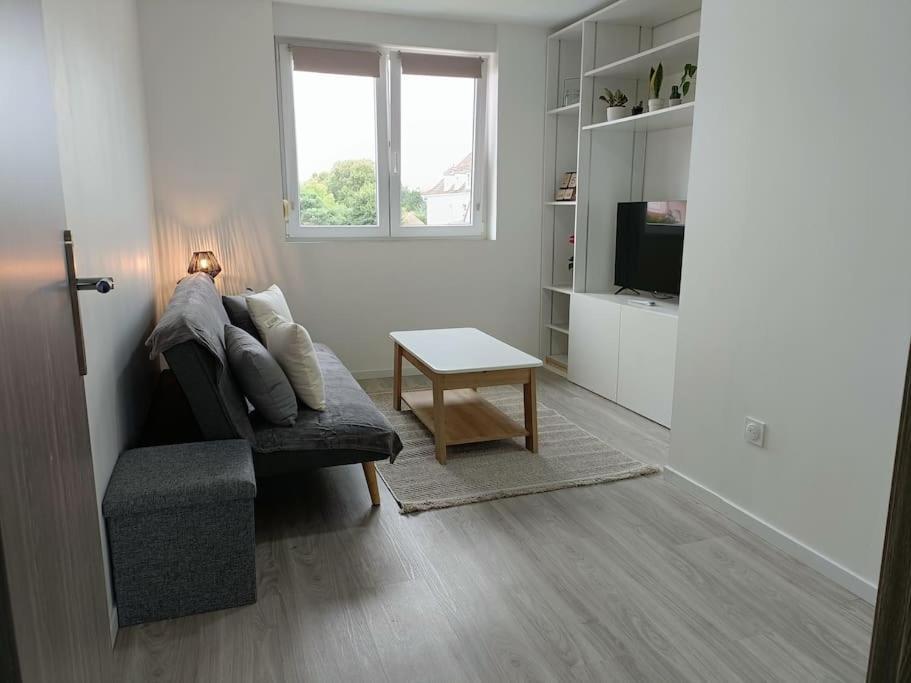 Appartement Entier F3 Renove - Petite Pause A Sélestat Exterior photo